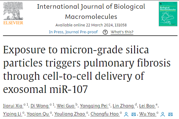 Int J Biol Macromol | 郑州大学姚武/郝长付：微米级二氧化硅颗粒暴露通过外泌体miR-107引发肺纤维化