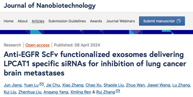 J Nanobiotechnology｜空军军医大学张瑞/东南大学陆远：功能化外泌体递送特异性siRNA抑制肺癌脑转移