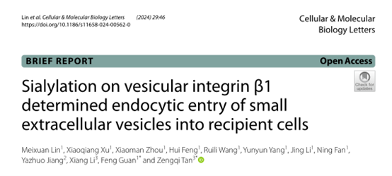 Cell Mol Biol Lett｜西北大学关锋/谭增琦等人：小细胞外囊泡整合蛋白β1唾液酸修饰的功能研究