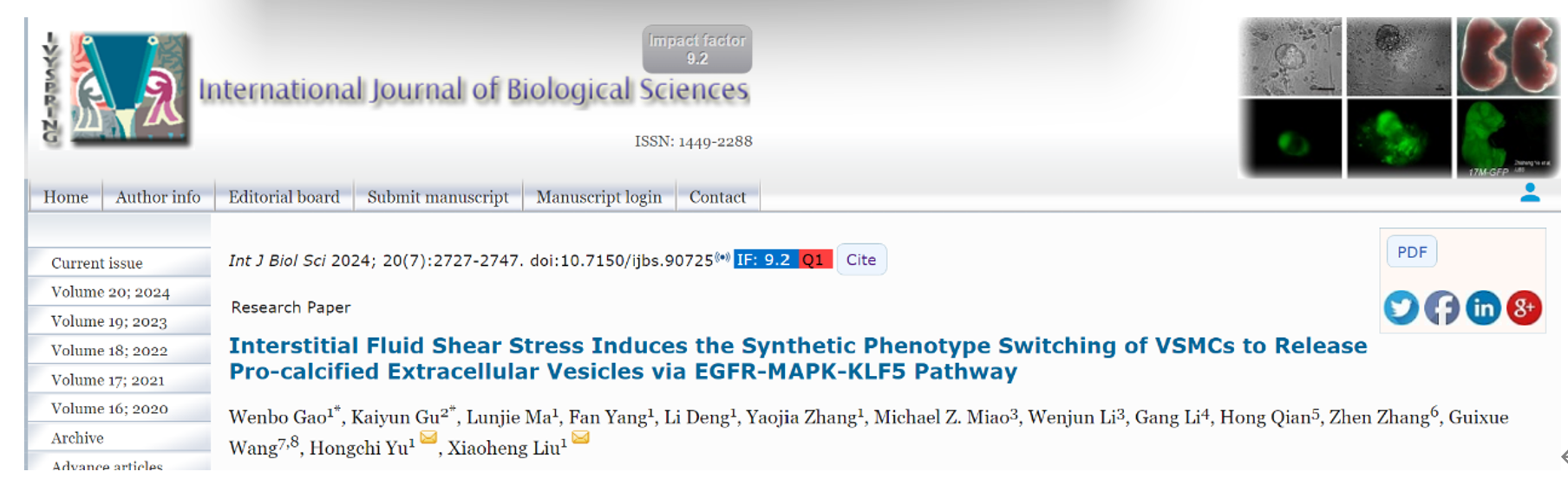 Int J Biol Sci｜四川大学刘肖珩/余泓池：间质流剪切力诱导血管平滑肌细胞合成表型转化及促血管钙化胞外囊泡释放