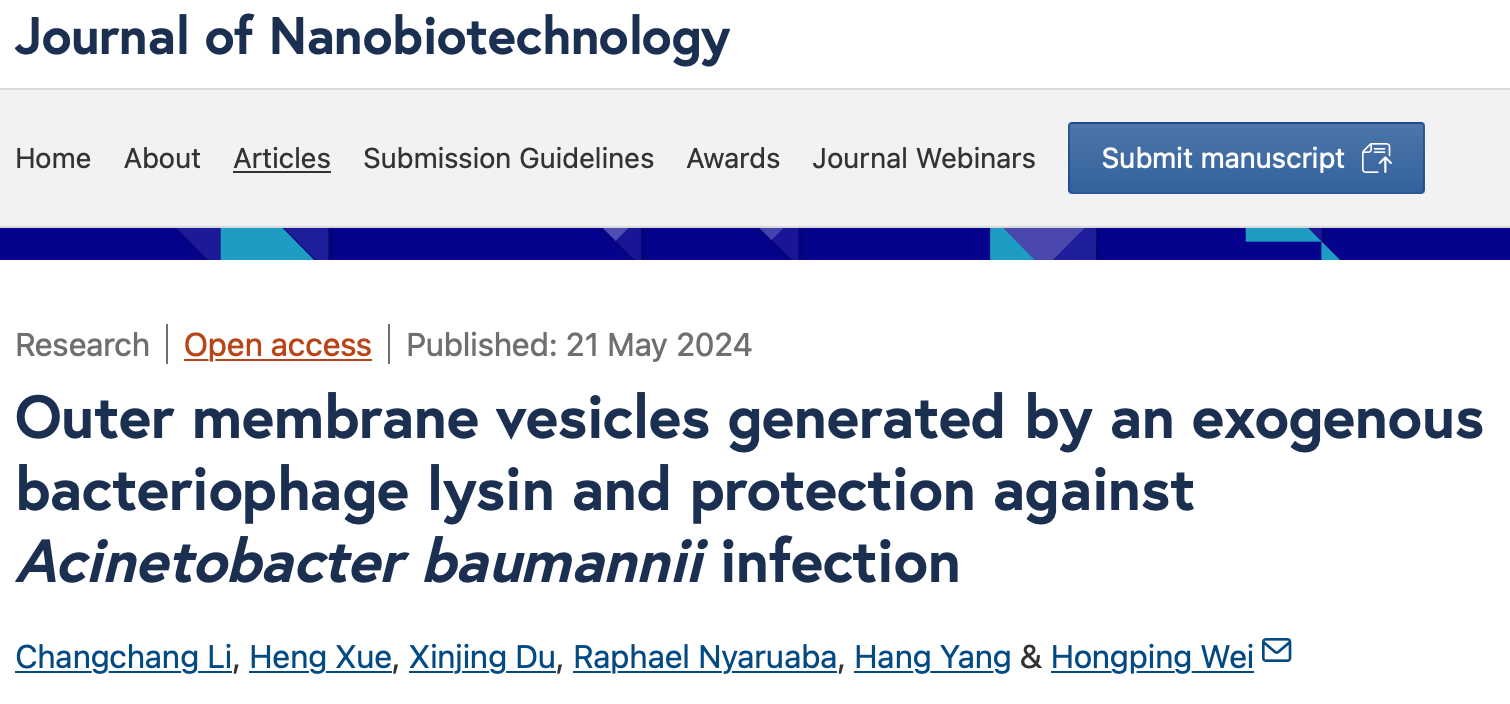 J Nanobiotechnol｜中国科学院武汉病毒研究所危宏平：外源性噬菌体裂解酶产生的外膜囊泡对鲍曼不动杆菌感染的保护作用