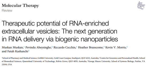 【Mol Ther】综述：细胞外囊泡递送RNA的治疗潜力