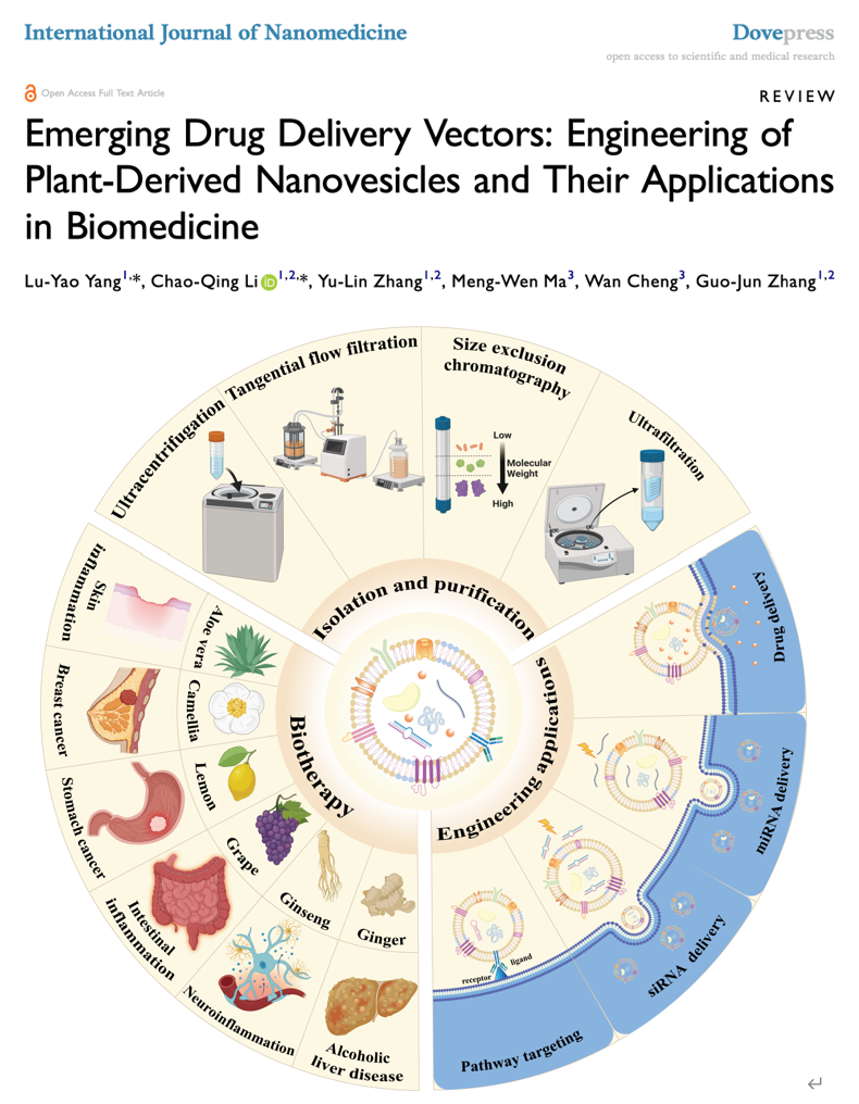 INT J NANOMED｜湖北中医药大学纳米生物传感中心张国军：新兴药物递送载体-植物衍生纳米囊泡的工程及其在生物医学中的应用
