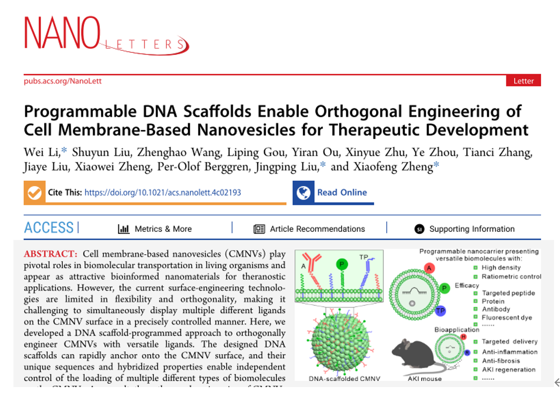 Nano Letters | 四川大学郑晓峰、刘敬平团队：通过可编程化DNA支架产生多功能靶向性的工程化细胞膜纳米囊泡