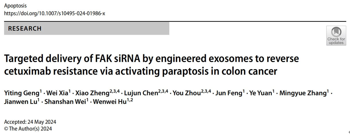 Apoptosis｜苏州大学附属第三医院胡文蔚 ：工程化外泌体靶向递送 FAK siRNA激活结肠癌中的类凋亡逆转西妥昔单抗耐药
