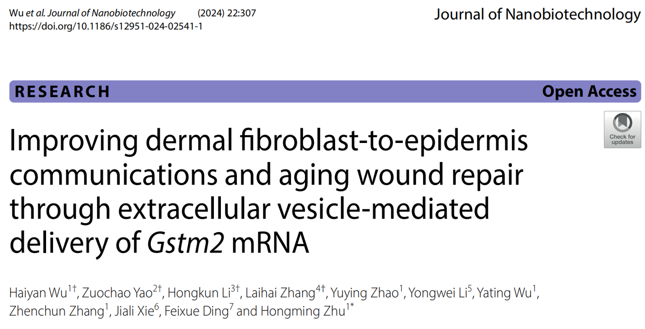 J Nanobiotechnology｜同济大学朱鸿明团队:EVs递送Gstm2 mRNA改善皮肤衰老、促进损伤修复