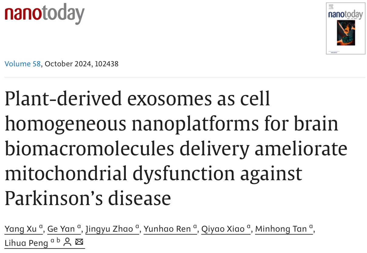 Nano Today｜浙江大学彭丽华团队：植物来源外泌体作为脑生物大分子递送的细胞均质纳米平台，改善帕金森病的线粒体功能障碍