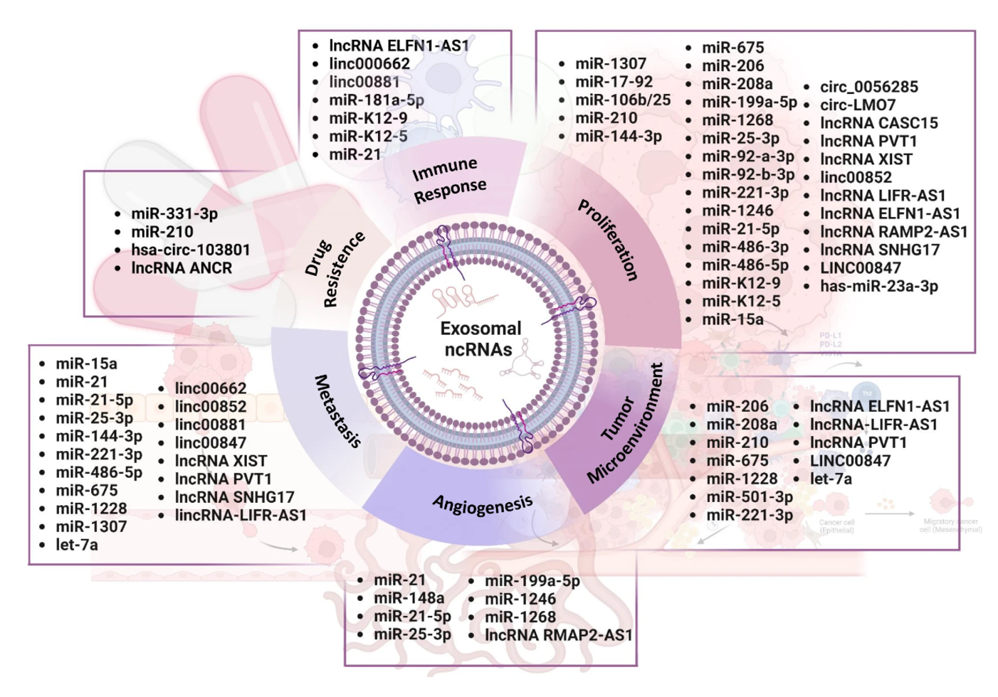 Mol Cancer丨肉瘤外泌体非编码RNA的肿瘤生物学机理及其转化前景