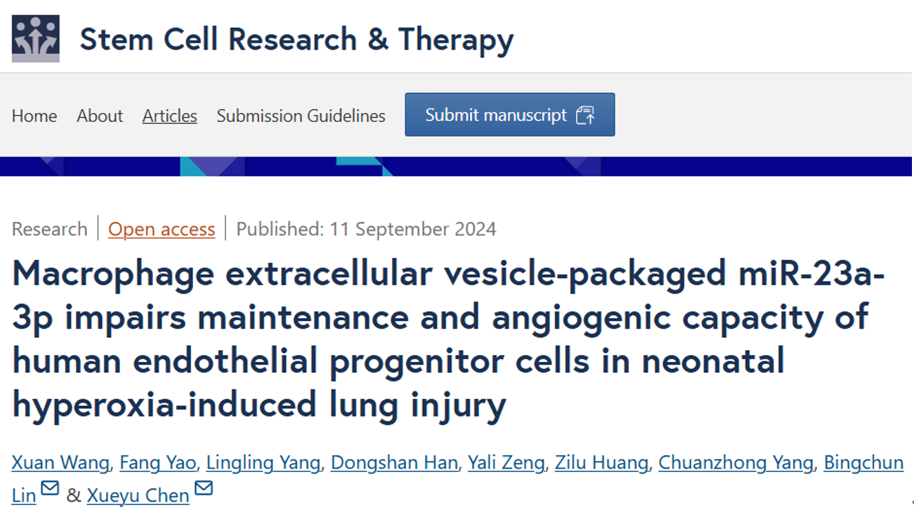 Stem Cell Res Ther｜：揭秘巨噬细胞外囊泡中的miR-23a-3p如何成为早产儿支气管肺发育不良的幕后黑手？