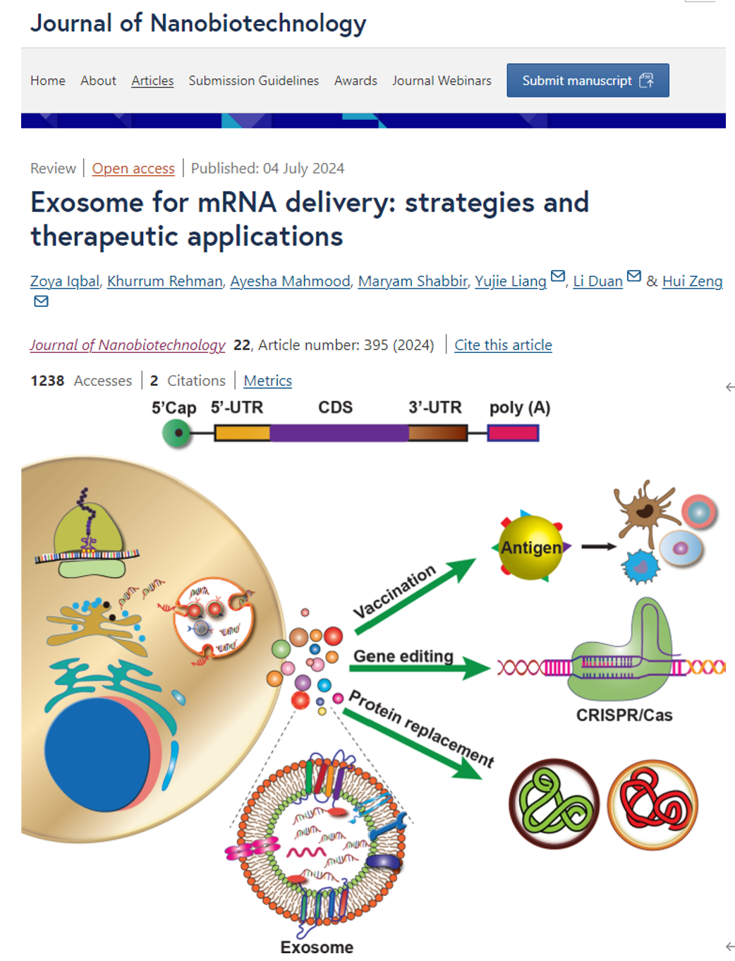 Journal of Nanobiotechnology|深圳市第二人民医院骨科团队：外泌体递送mRNA的包封方法与靶向策略