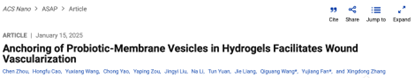 ACS Nano｜四川大学/国家生物医学材料工程技术研究中心王启光/樊渝江：水凝胶中益生菌膜囊泡的锚定促进伤口血管生成
