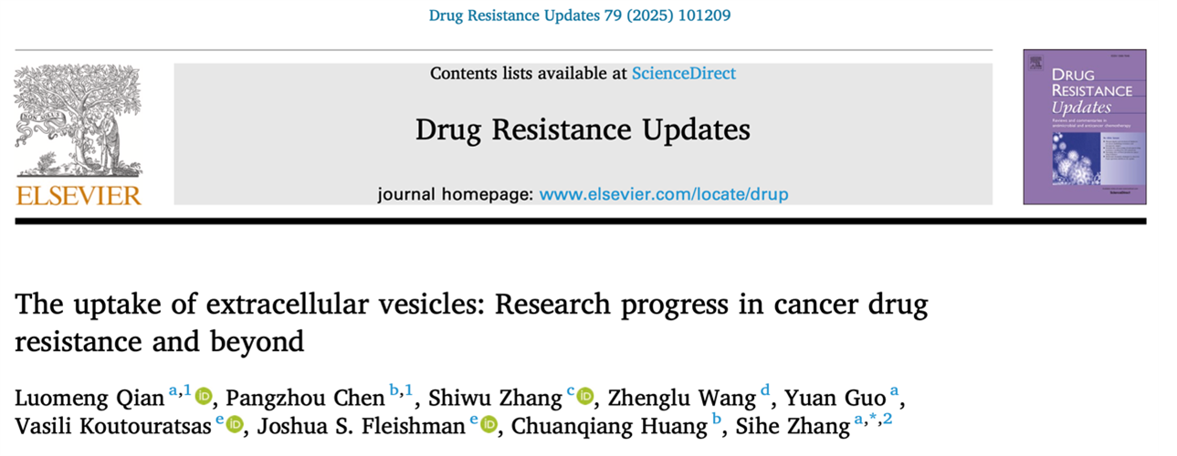 Drug Resistance Updates｜南开大学医学院张思河教授课题组：细胞外囊泡的摄取：在肿瘤耐药与其他方面的研究进展
