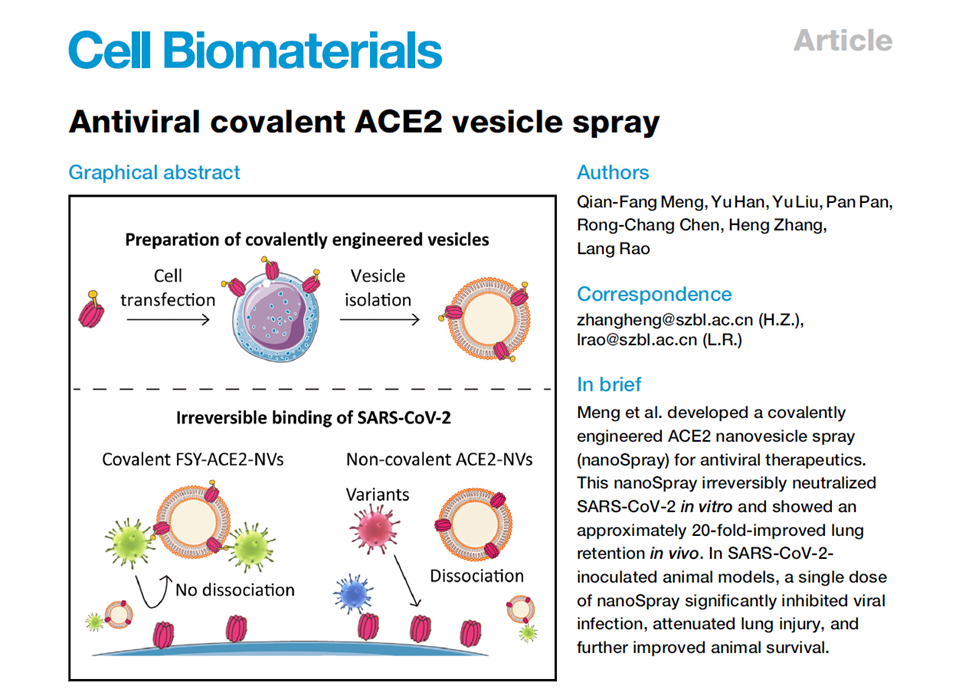 Cell Biomaterials | 深圳湾实验室饶浪团队：新型抗呼吸道病毒喷雾