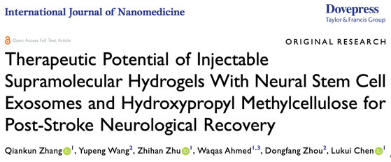 Int J Nanomedicine | 可注射神经干细胞外泌体超分子水凝胶有助于中风后神经修复