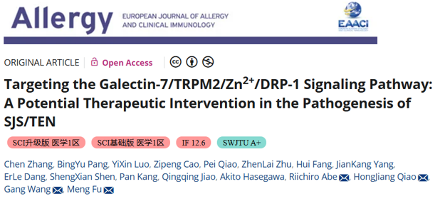 Allergy｜西京医院张晨/付萌/王刚：疱液外泌体Galectin-7介导角质形成细胞凋亡在SJS/TEN发病中的作用机制