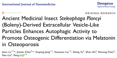Int J Nanomedicine | 广东医科大学附属医院李鹏/林颢：中华真地鳖衍生EV样颗粒介导人骨髓间充质干细胞成骨分化