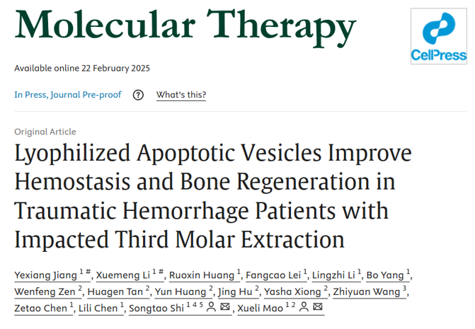 Molecular Therapy ｜ 中山大学口腔医院毛学理/施松涛：干细胞凋亡囊泡的首次人体临床试验，止血和骨再生应用