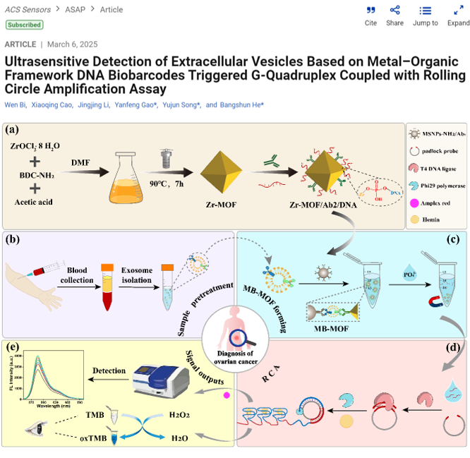 ACS Sensors｜南京医科大学附属南京医院何帮顺教授团队：新型MOF-DNA传感器实现肿瘤外泌体超灵敏检测