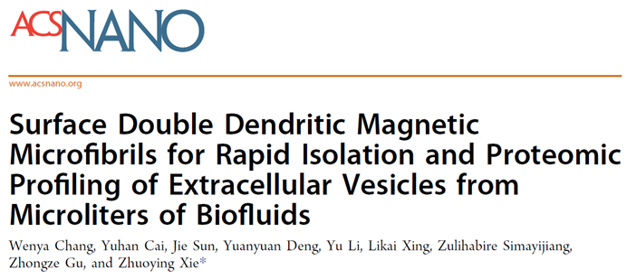 ACS Nano｜东南大学谢卓颖：开发一种基于功能化双重树枝状磁纤维用于快速分离微量生物体液中胞外囊泡与蛋白质组学的分析平台