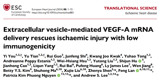 【Eur Heart J】细胞外囊泡递送VEGF-A mRNA挽救缺血性损伤且免疫原性低，优于AAV和LNP