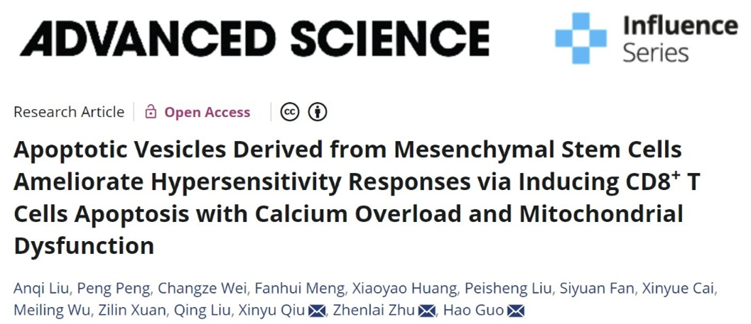 Adv Sci丨空军军医大学郭皓/朱振来/邱新毓：乳牙牙髓干细胞凋亡囊泡可有效缓解CD8+T细胞介导的四型超敏反应