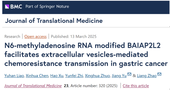 J Transl Med｜m6A 修饰促进 BAIAP2L2介导的胃癌细胞外囊泡诱导化疗耐药性传播