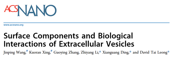 ACS Nano｜David Tai Leong/济南大学王金萍/鼓楼医院李智洋/南京邮电大学丁显光：EV表面成分与生物相互作用