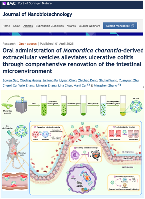 J Nanobiotechnolï西安交通大学张明真研究员团队：口服苦瓜细胞外囊泡通过全面改善肠道微环境缓解溃疡性结肠炎