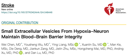 Stroke |   暨南大学附属第一医院  徐安定  -  逯丹教授团队：  发现  AIS  生物标志物  CircOGDH  的新作用