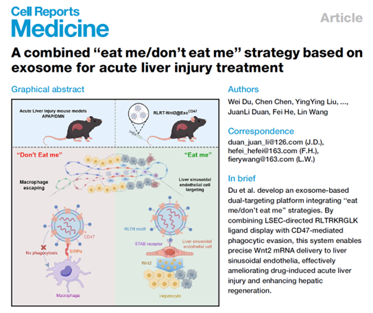 Cell Reports Medicine｜西京医院王琳团队靶向肝血窦内皮细胞修复药物性肝损伤