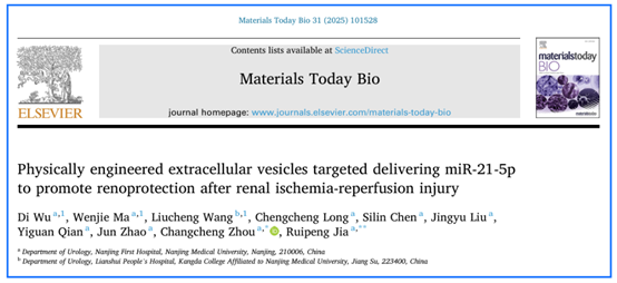 Materials Today Bio|南京医科大学附属南京医院贾瑞鹏：物理工程化细胞外囊泡促进肾缺血再灌注损伤后的肾脏保护作用