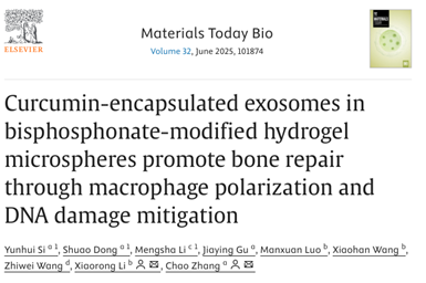 Materials Today Bio｜中山大学张超：负载姜黄素的MSC-Exos通过调控巨噬细胞极化和减轻DNA损伤促进骨修复