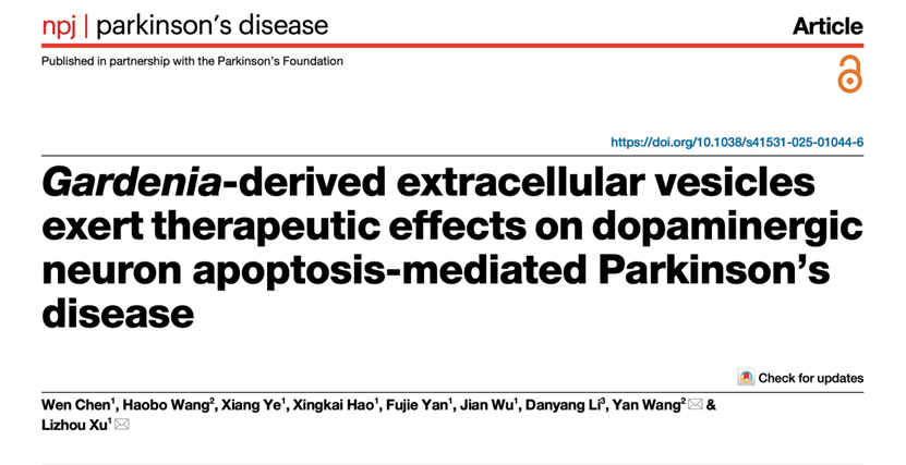 npj Parkinson's Disease｜浙大杭州国际科创中心：栀子源外泌体有望改善多巴胺能神经元细胞凋亡引发的帕金森疾病