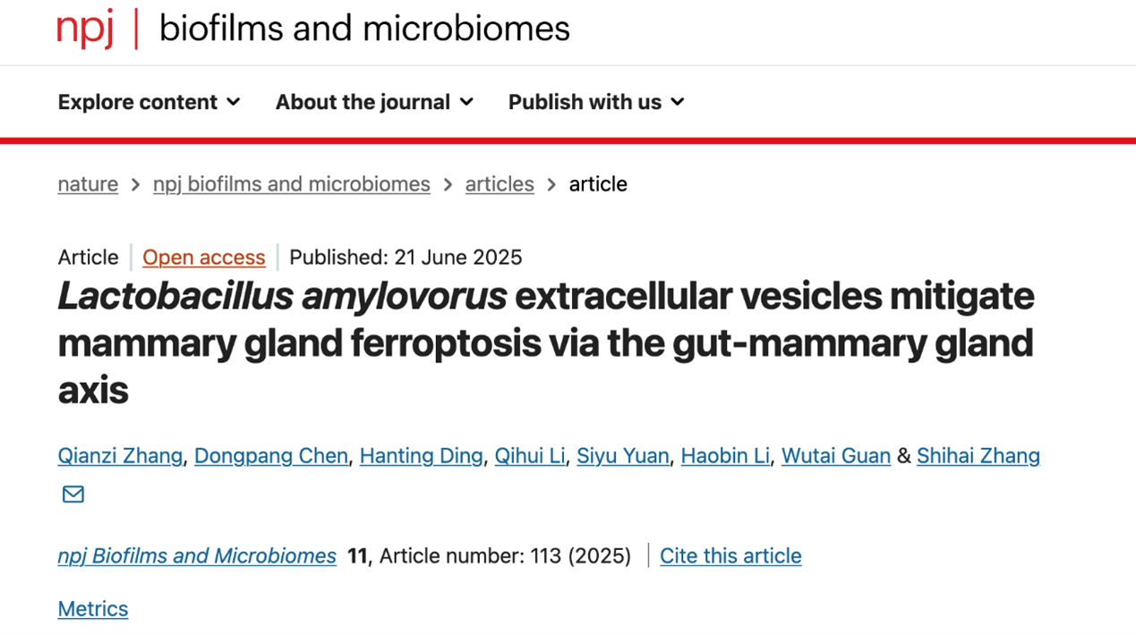 npj Biofilms Microbiomes｜华南农业大学管武太/张世海：嗜淀粉乳杆菌细胞外囊泡改善母猪泌乳性能的机制研究
